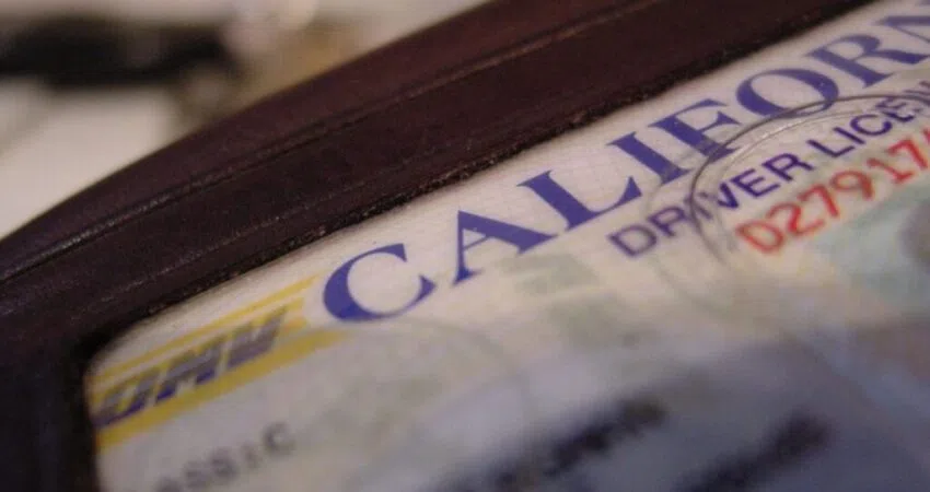 A close up of a california drivers license.