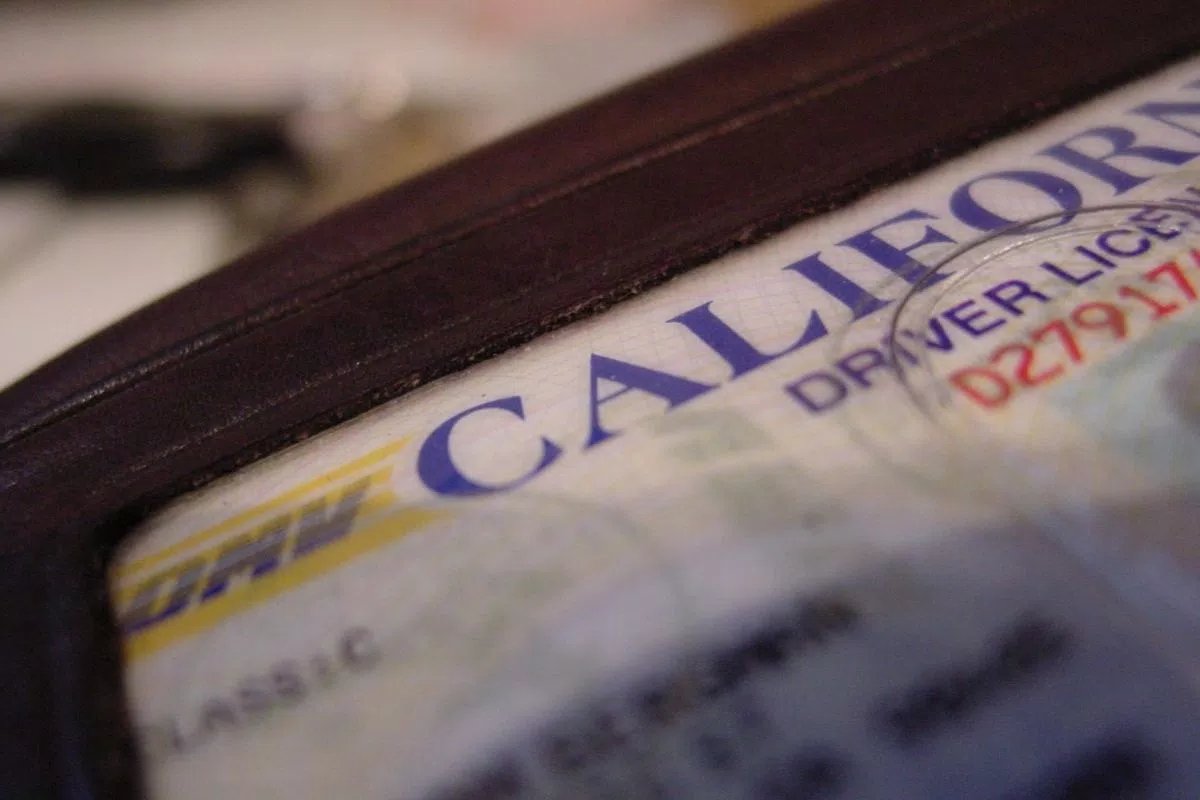 A close up of a california drivers license.