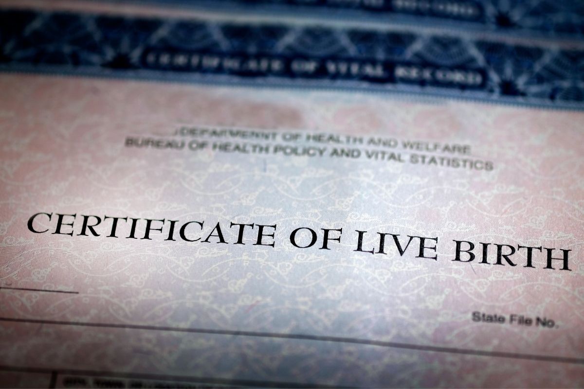 Birth Certificate view in the desktop computer